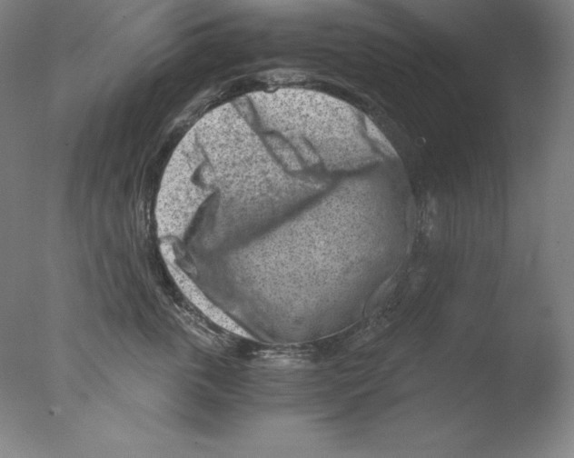 X0000076070763200610202014