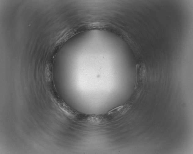 X0000076070764200610202014