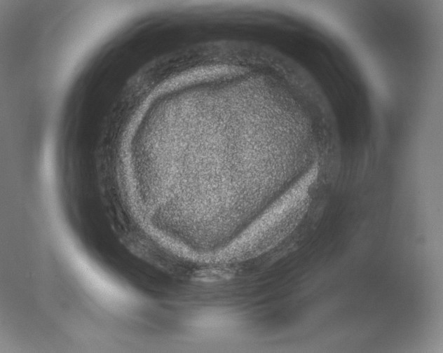 X0000076070765200610202014