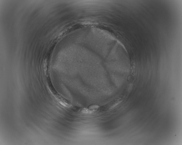 X0000076070767200610202014