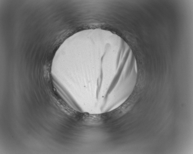 X0000076070768200610202014