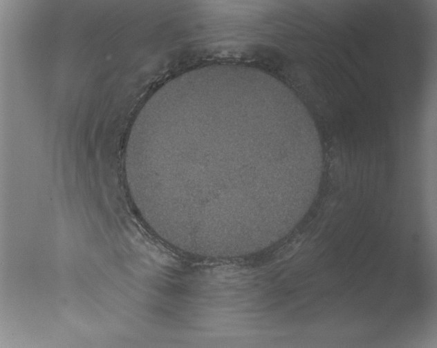 X0000076070769200610202013