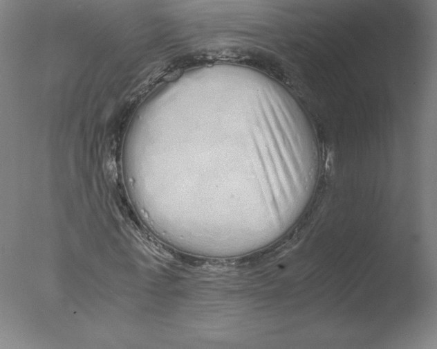 X0000076070771200610202013