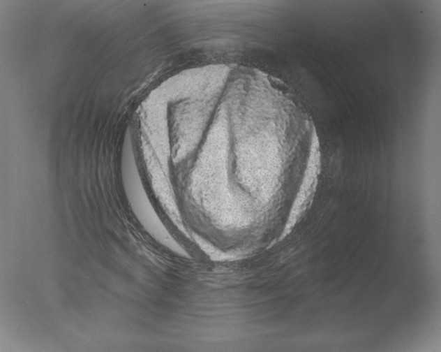 X0000076070772200610202013