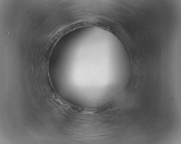 X0000076070773200610202013