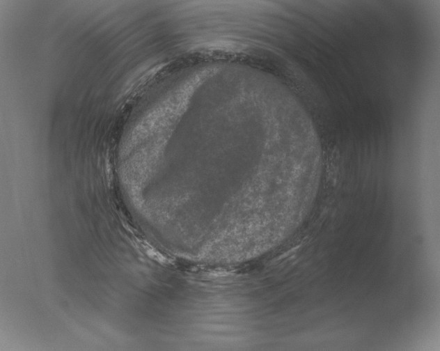 X0000076070774200610202013