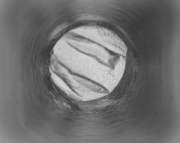 X0000076070775200610202013