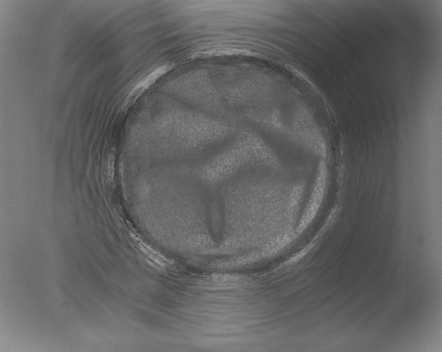 X0000076070777200610202013