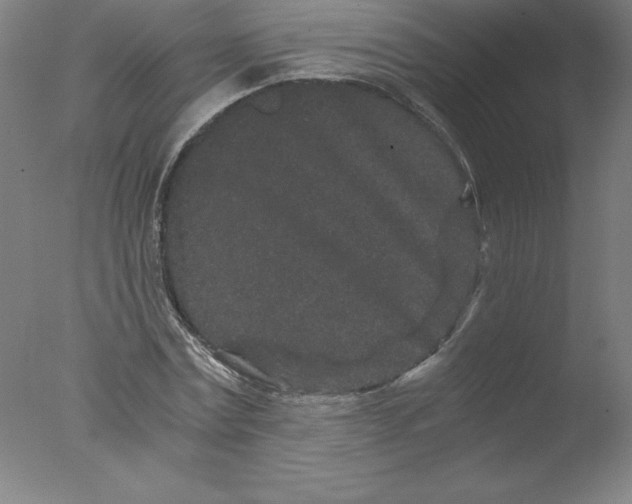 X0000076070779200610202013