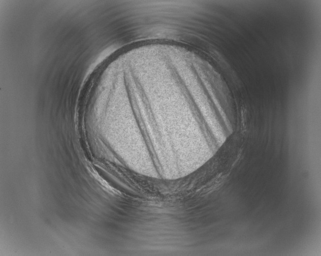 X0000076070780200610202013