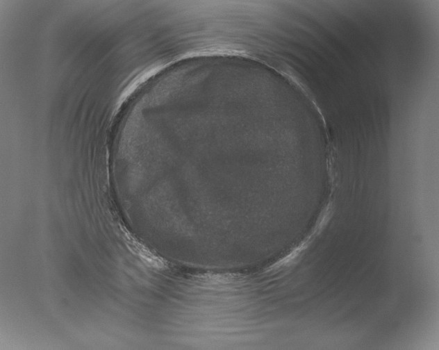 X0000076070781200610202013