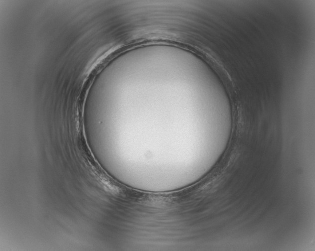 X0000076070782200610202013