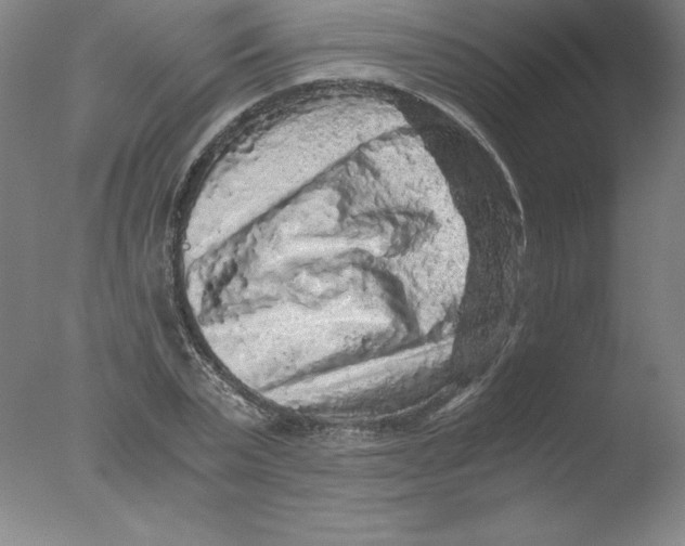 X0000076070783200610202013