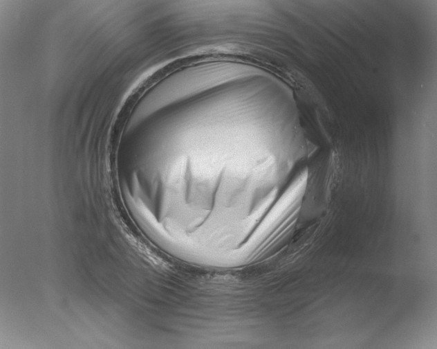 X0000076070784200610202013