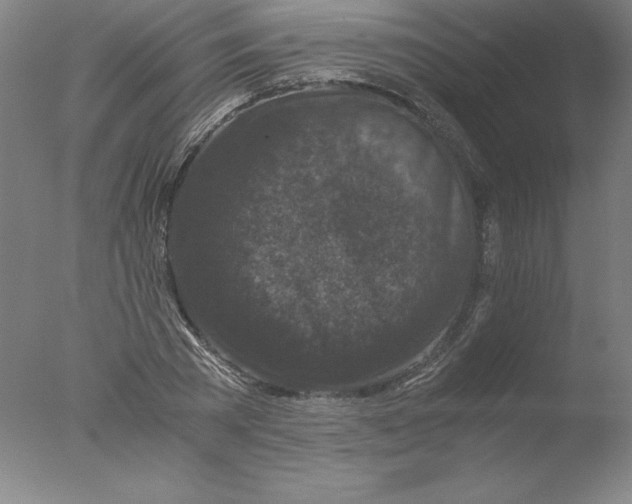 X0000076070785200610202013