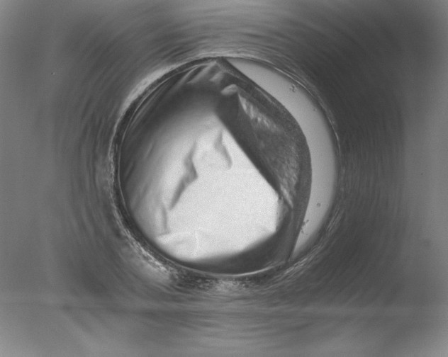 X0000076070787200610202013