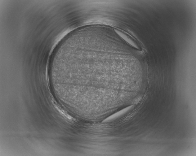 X0000076070788200610202013