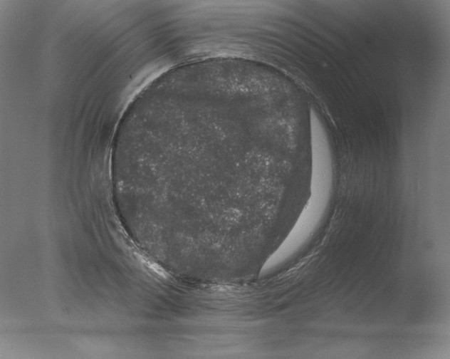 X0000076070790200610202013