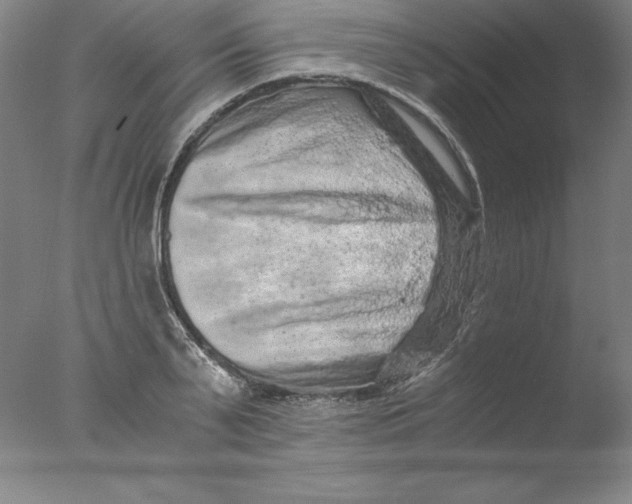 X0000076070791200610202013