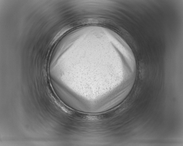 X0000076070794200610202013