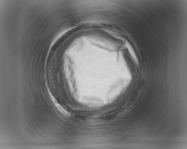 X0000076070795200610202013