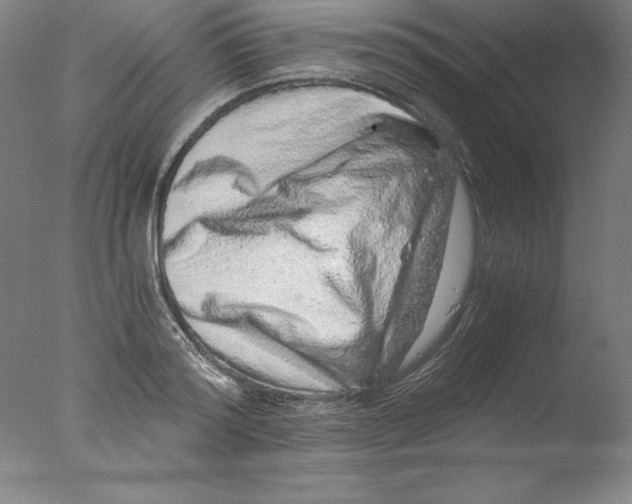 X0000076070796200610202013