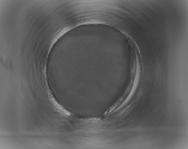 X0000076070797200610202013