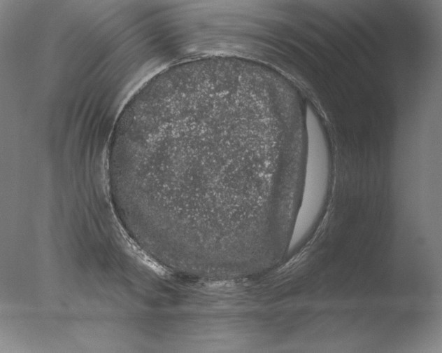 X0000076070798200610202013