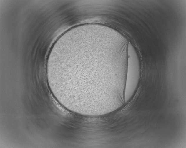 X0000076070800200610202013