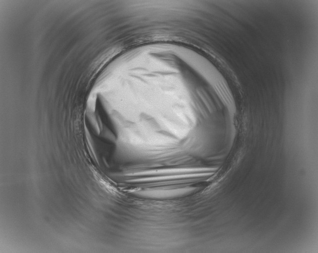 X0000076070801200610202013