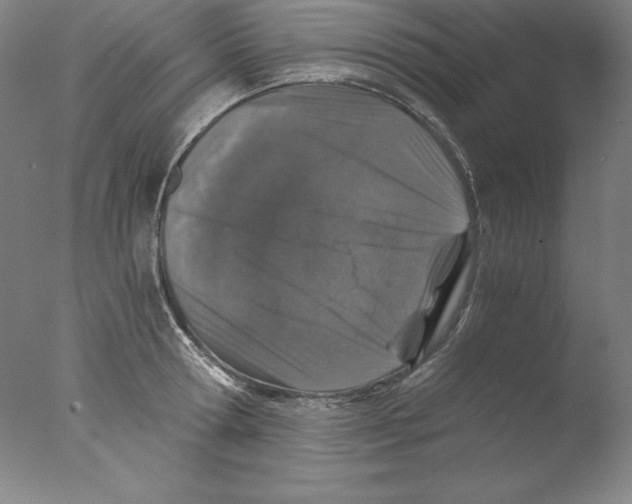 X0000076070802200610202013