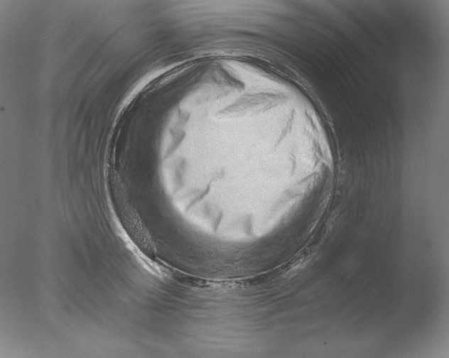 X0000076070803200610202013