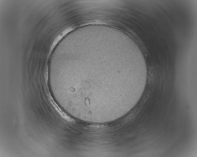 X0000076070804200610202013