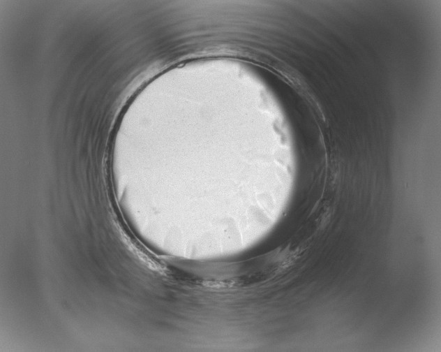 X0000076070805200610202012