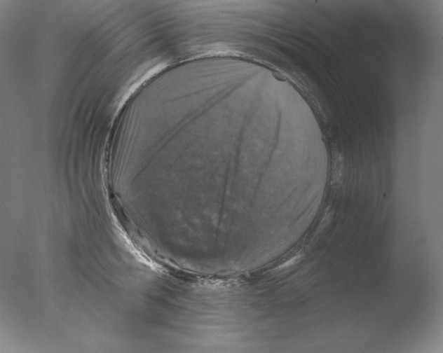 X0000076070806200610202012