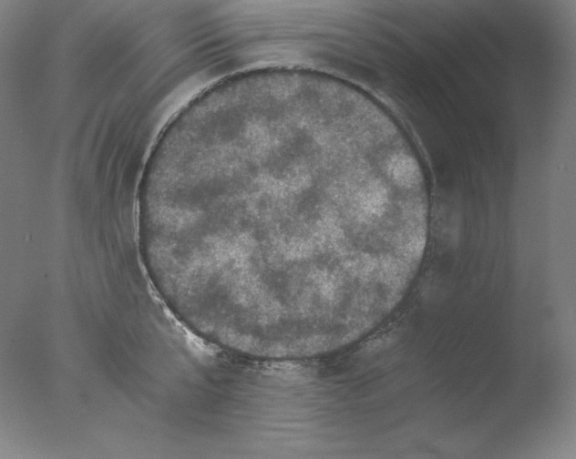 X0000076070807200610202012