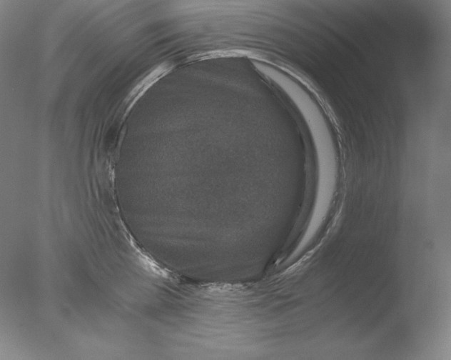 X0000076070809200610202012