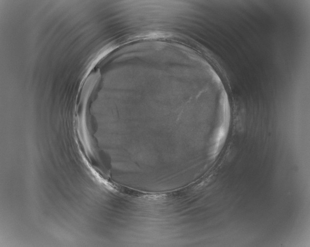 X0000076070810200610202012