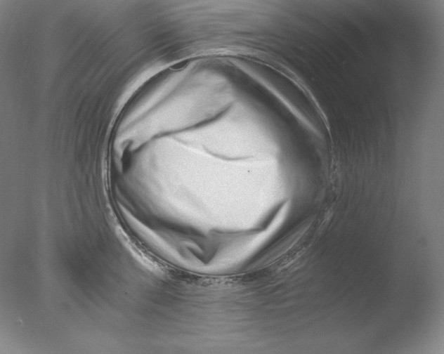 X0000076070811200610202012