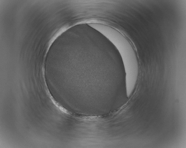 X0000076070813200610202012