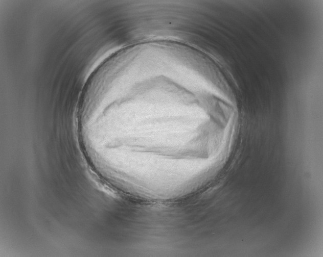 X0000076070814200610202012