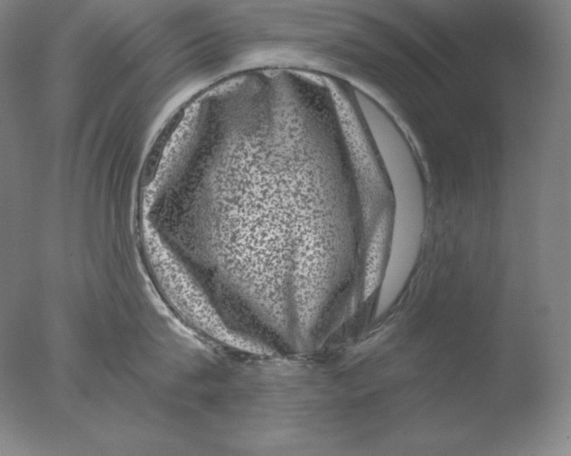 X0000076070815200610202012