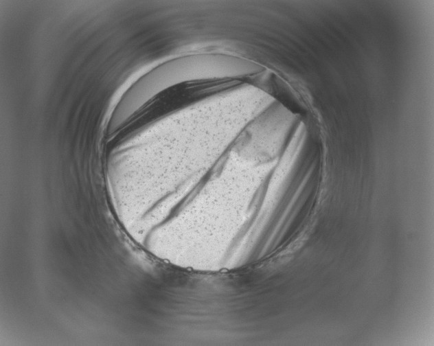 X0000076070816200610202012