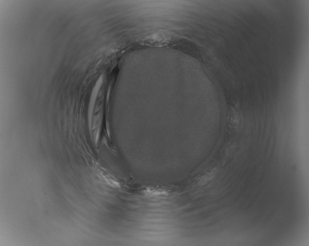 X0000076070818200610202012