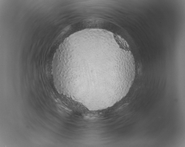 X0000076070819200610202012