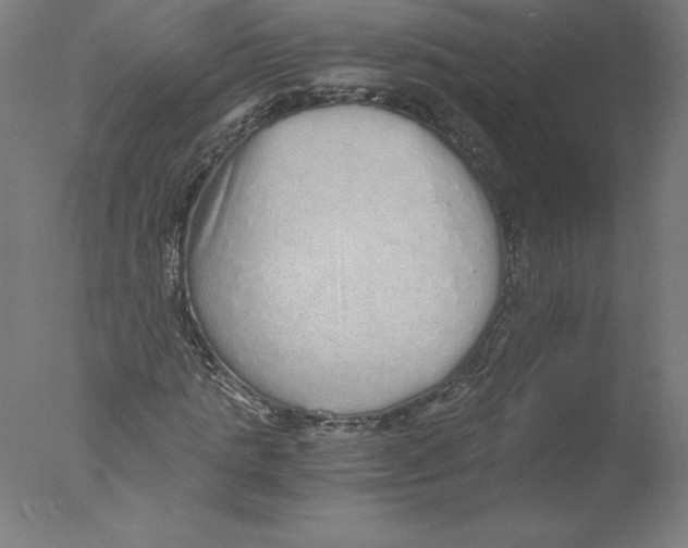 X0000076070821200610202012