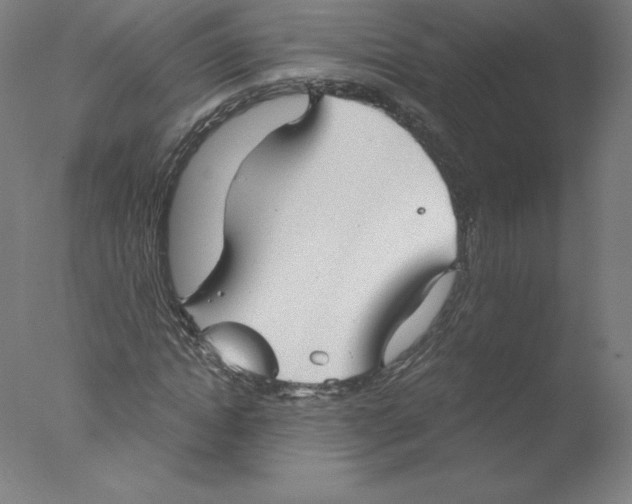 X0000076070822200610202012