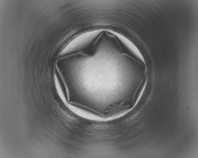 X0000076070825200610202012