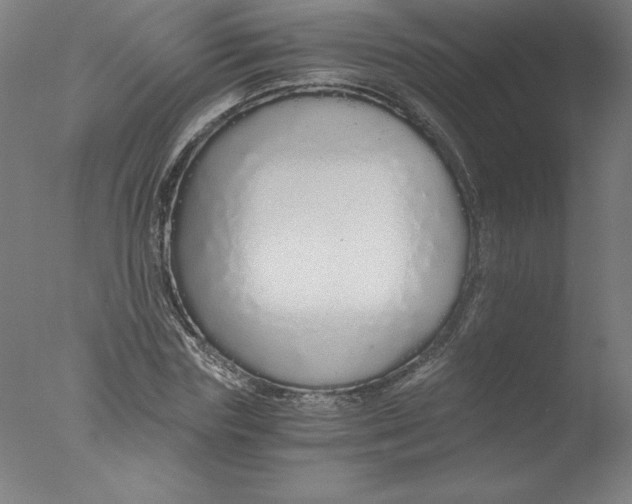 X0000076070827200610202012