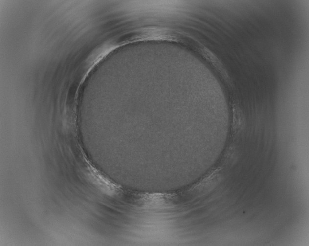 X0000076070828200610202012